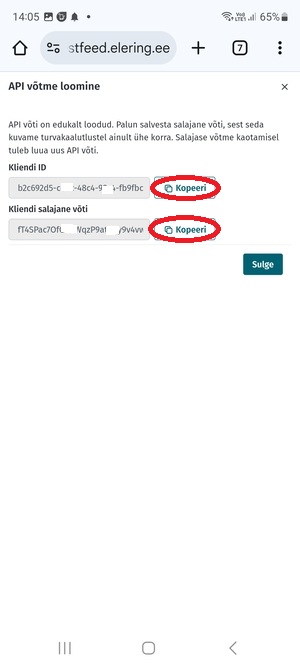api-id-ja-votme-kopeerimine